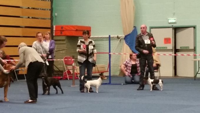 Penrith & District Canine Society limit show 27th April 2016